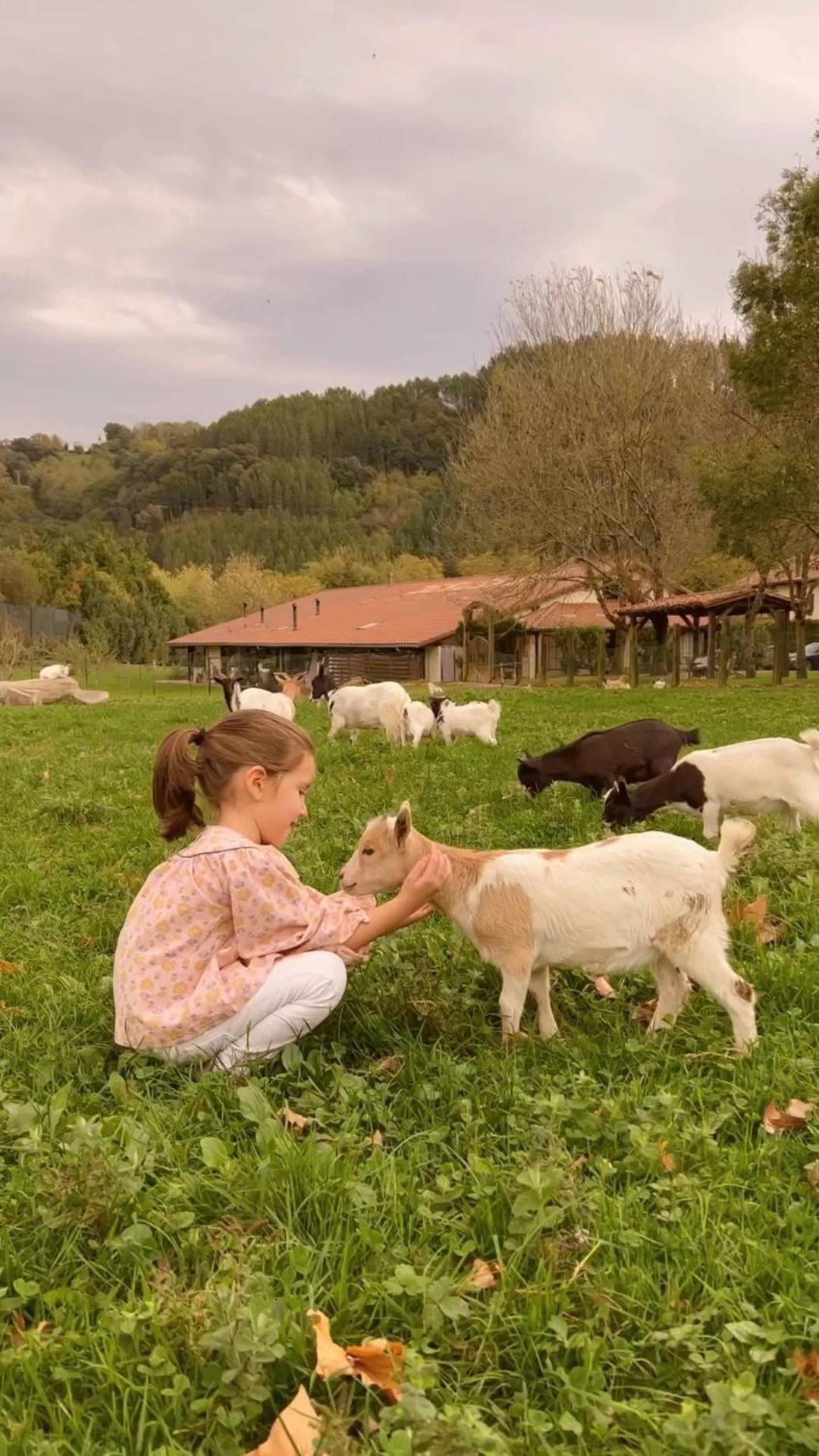 زومايا Casa Rural Jesuskoa المظهر الخارجي الصورة